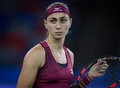 科维托娃赛事官方发布问鼎冠军新规，中国队争议不断！的简单介绍